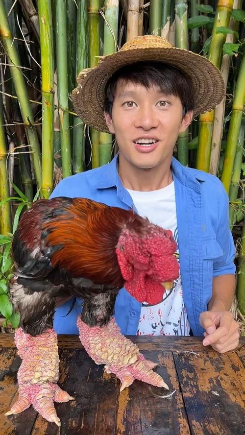 老人吃瓜挑战,揭秘老人吃瓜的趣味瞬间