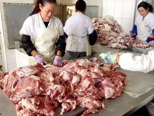 内蒙古羊肉爆料事件视频