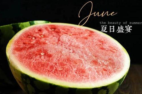 文明吃瓜指南,品味瓜果，享受生活的小确幸