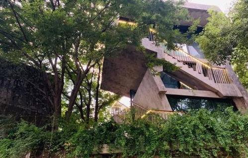 杭州免费网红打卡山谷,隐匿于都市的秘境花园