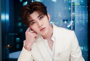 16岁男明星最帅,颜值巅峰，帅气非凡