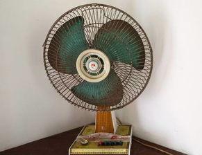 修风扇吃瓜,一场吃瓜引发的环保革命