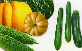 种瓜吃瓜会不会变瓜,揭秘瓜果生长的奇妙循环