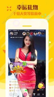 直播大哥爆料视频下载安装,视频下载安装全过程解析