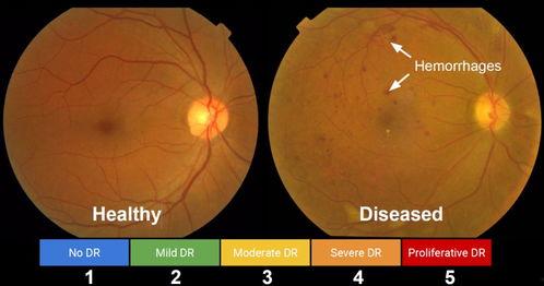 吃瓜群众星盘解析,星盘解析揭示性格命运之谜