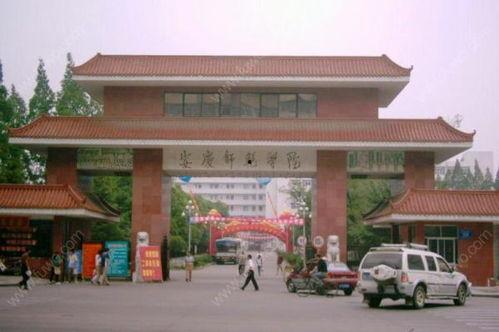 安庆师范大学吃瓜,校园吃瓜文化背后的故事