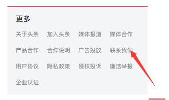 怎么联系今日头条客户