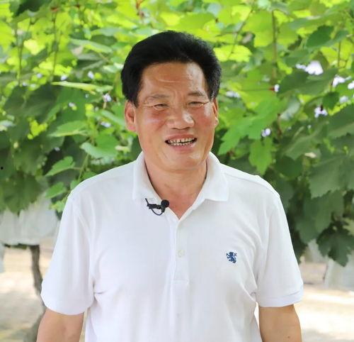 均刘村头条,传统与现代交融的乡村新画卷”