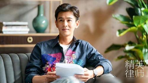 演律师的明星,演绎法律界的璀璨星光