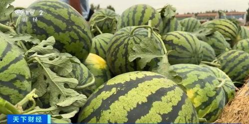 开元上东城吃瓜,夏日吃瓜盛宴，畅享清凉时光