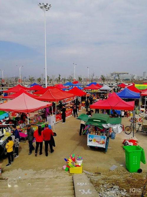 台州网红景点看花,春日花海，打卡必去打卡地
