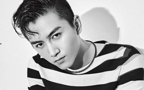 姓包的明星,揭秘包姓明星的璀璨人生