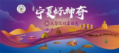 网红去宁夏旅游团,宁夏之旅精彩纷呈