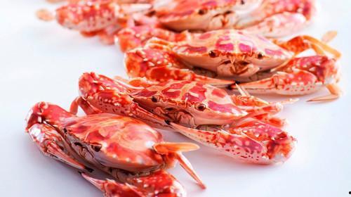 吃完螃蟹可以吃哈密瓜