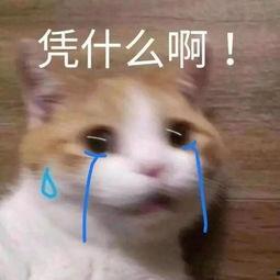 表情每日大赛怎么做,捕捉瞬间情感，展现创意风采