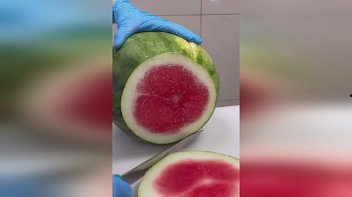 怎么吃瓜啊,解锁夏日消暑新姿势