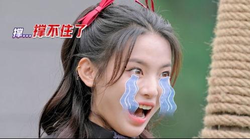 超越小明星,揭秘新星崛起之路