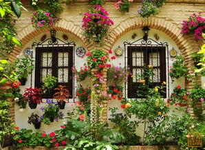 西班牙网红院子图片,一窥地中海风格的魅力角落