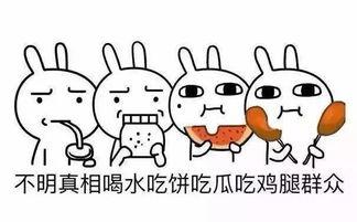 吃瓜群众爱看的事,揭秘明星们的“瓜田”趣事