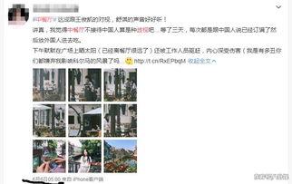 语音厅最新爆料,最新爆料背后的惊人真相