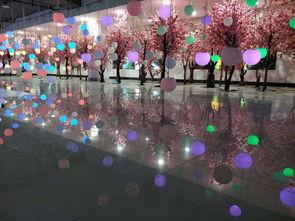 上海网红沉浸式投影好吗,视觉盛宴还是浮光掠影？