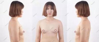 太平机场明星,明星闪耀的空中枢纽风采